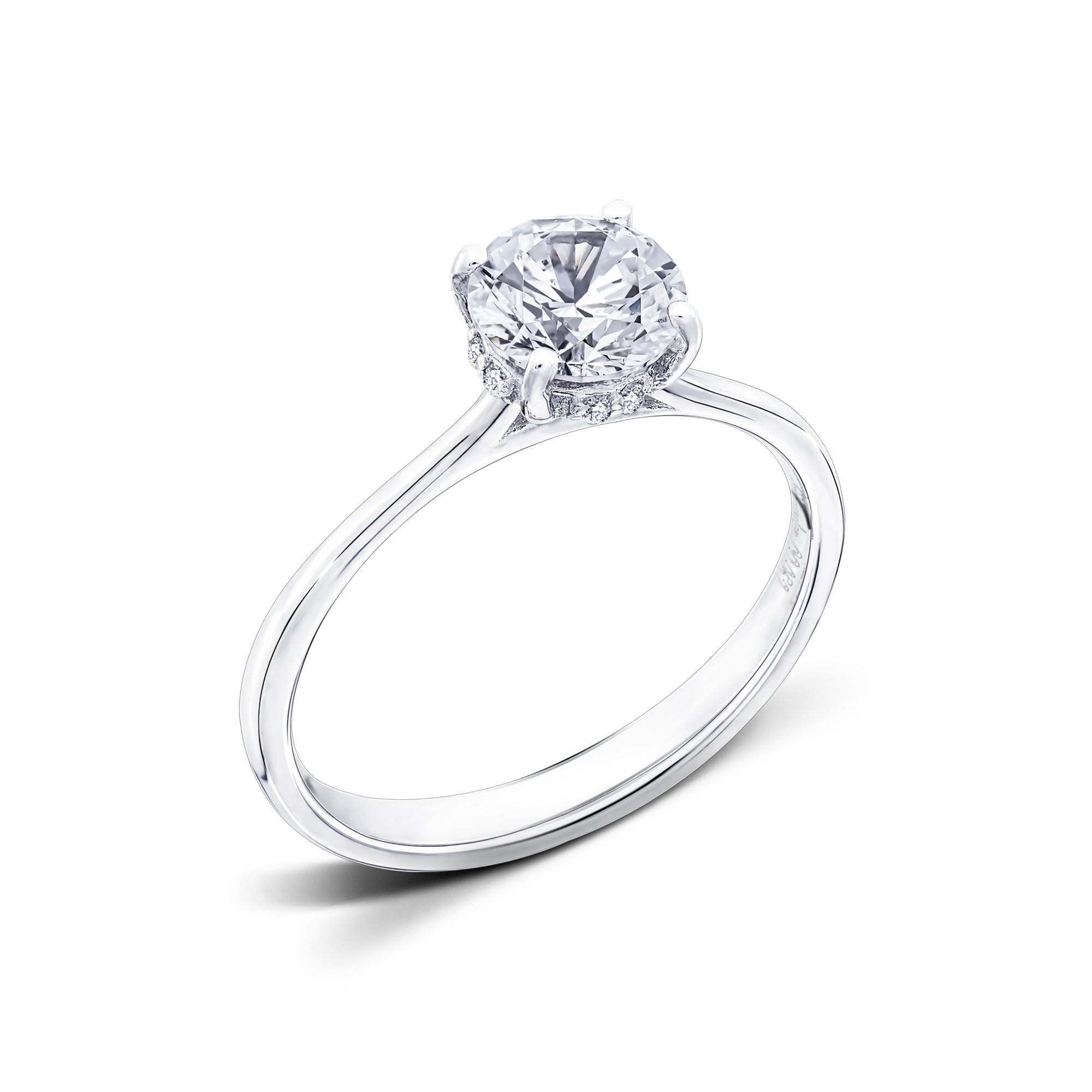 Completed Ring (Europe Size 47.50)